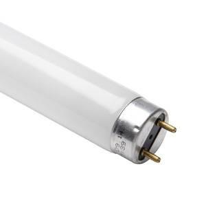 T8 10W Flykiller Tube - 345mm Sale